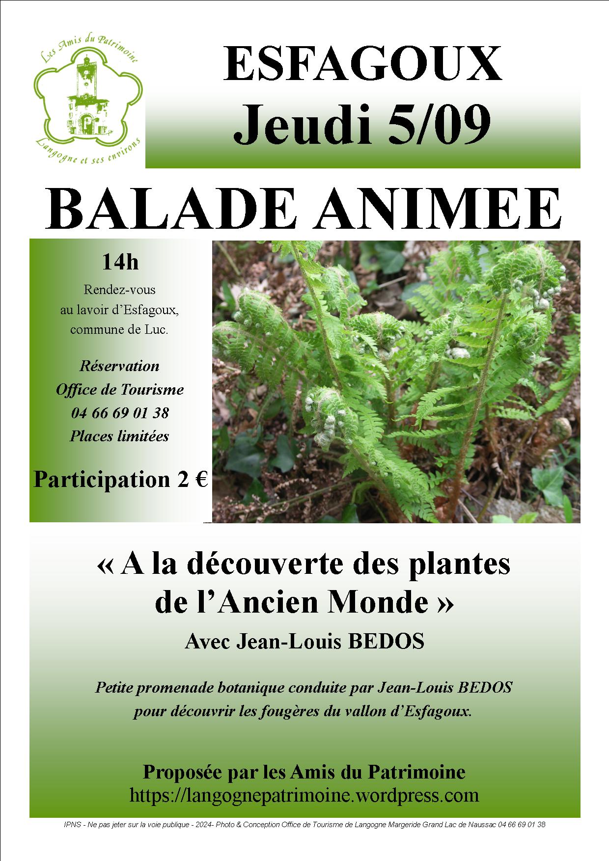 Affiche de la balade botanique à Esfagoux le 5 septembre